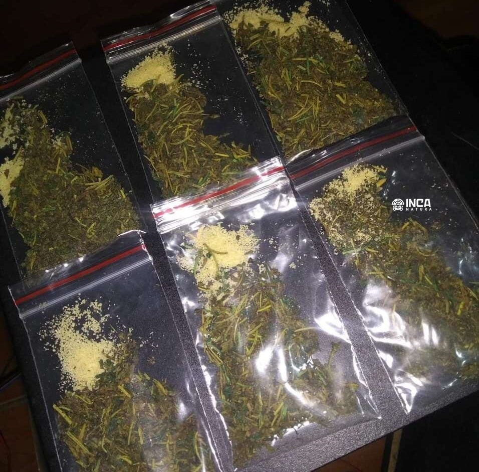 CHANGA Xhanga DMT 1 - 3 gr