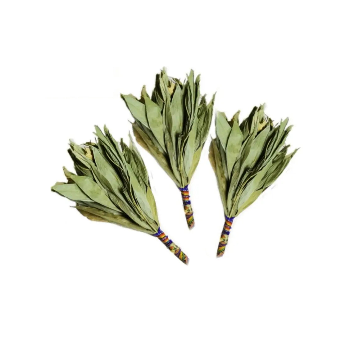 Chakapa Shaman Cleansing Ayahuasca Ceremonial Traditional