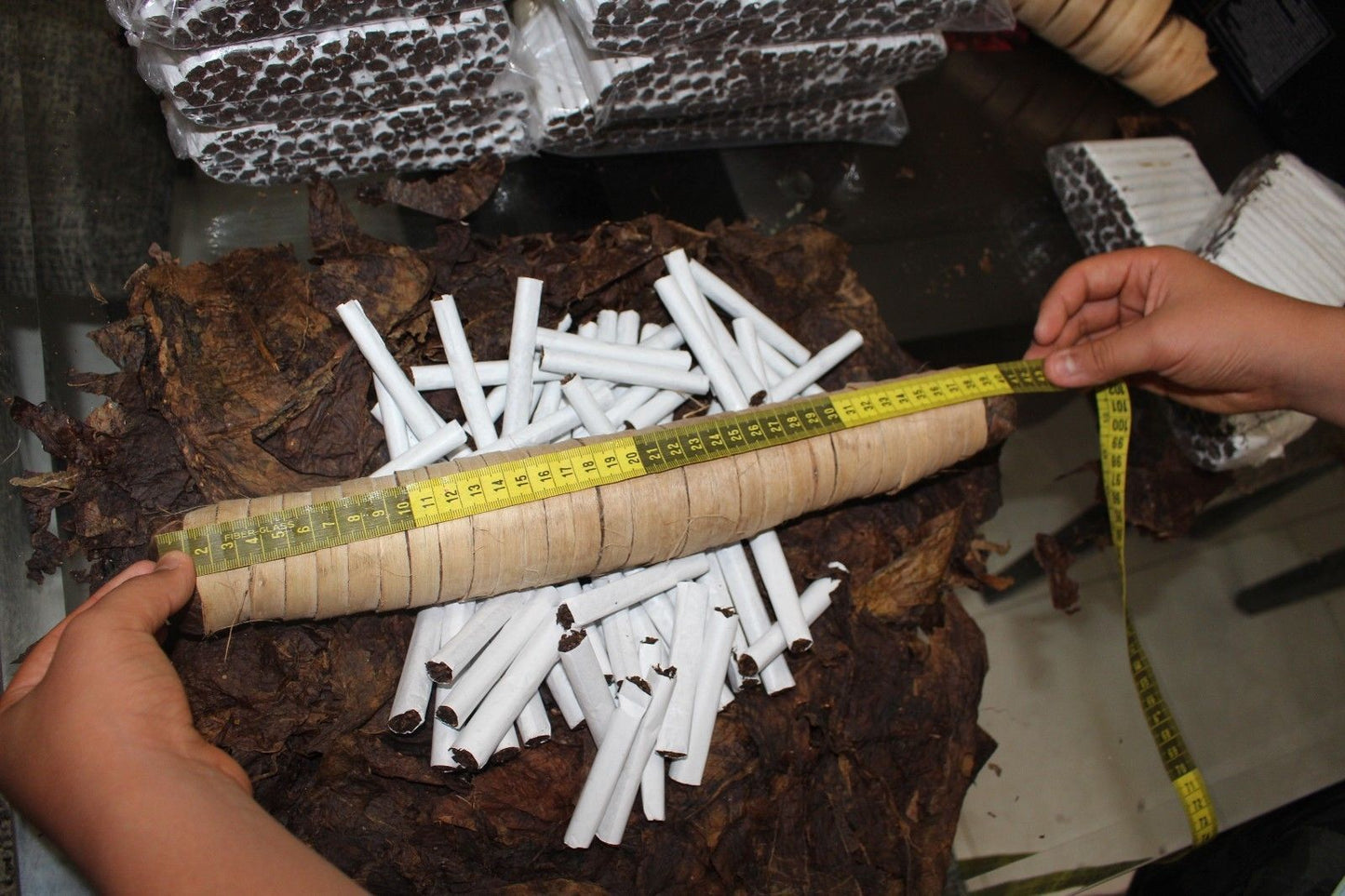 Mapacho Roll Nicotiana Rustica – Uncut Roll - 1 kg Approx