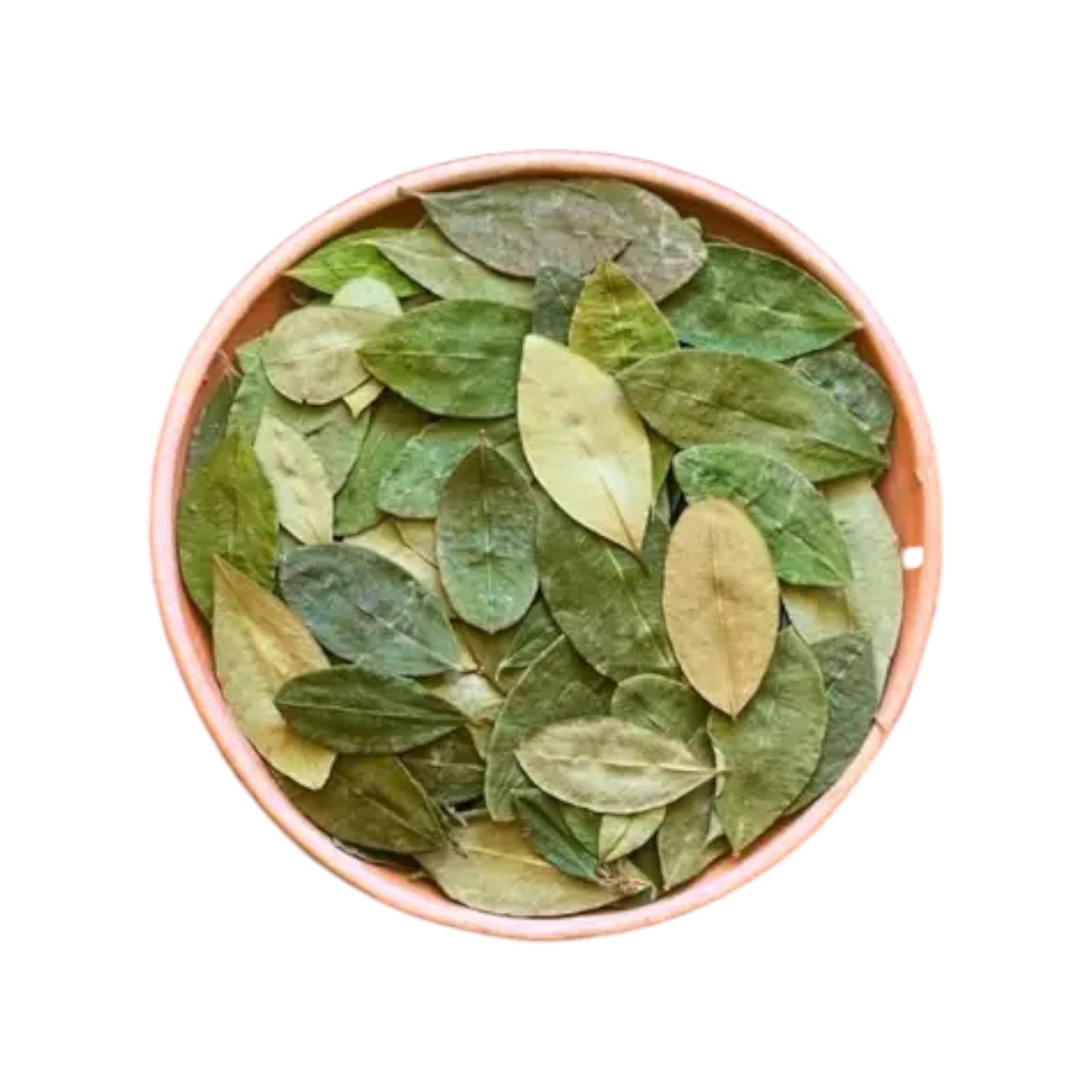 Coca “Mate de Coca” Tea Leaf | Erytroxylum Coca -  Powder