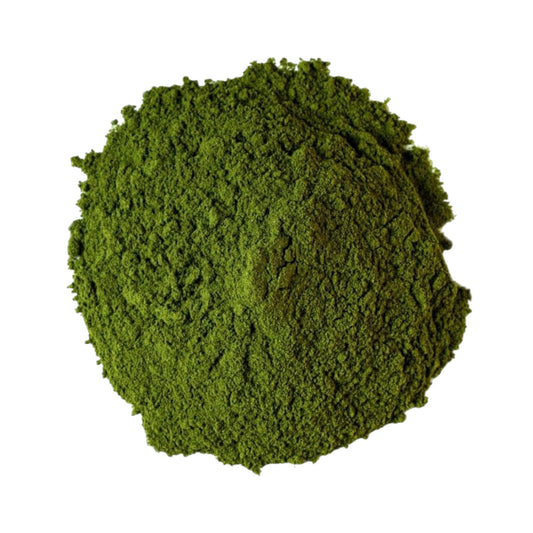 Mambe or Ypadú Coca leaf with Cetico ash - Powder