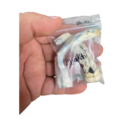 Mushrooms Shakti - Magic Mushrooms