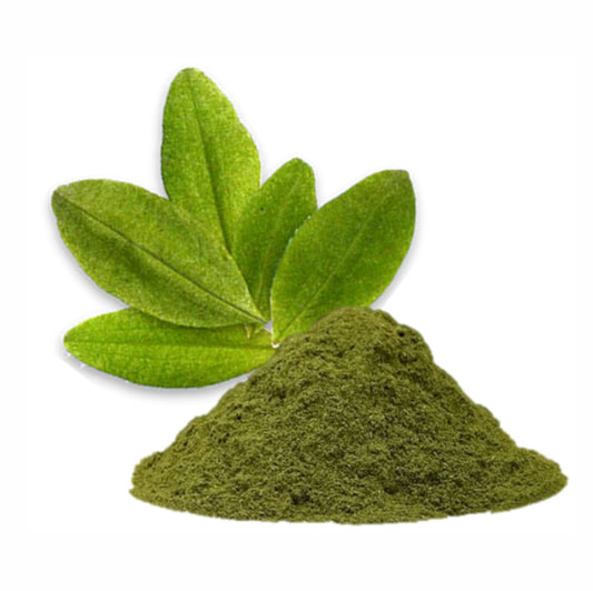 Coca “Mate de Coca” Tea Leaf | Erytroxylum Coca -  Powder