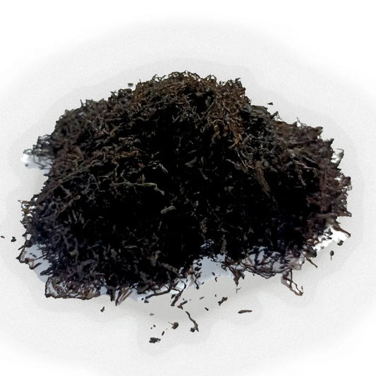 MAPACHO BLACK Extra Strong Nicotiana R. (Crushed Tobacco) Master