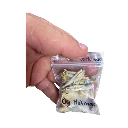 Mushrooms Og Melmac - Magic Mushrooms