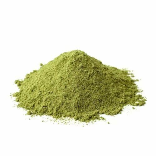 SAN PEDRO Trichocereus Pachanoi Huachuma Powder 500gr